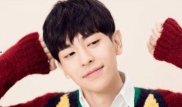 穿书吃瓜娱乐圈晋江,娱乐圈晋江的奇幻之旅